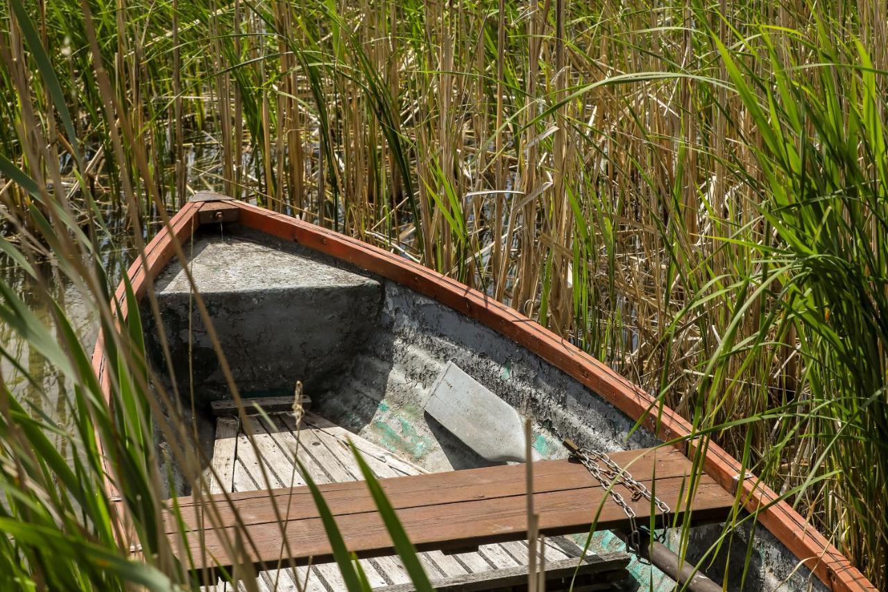 شقة Fuzliget Surf Garden Balatonfůzfő المظهر الخارجي الصورة